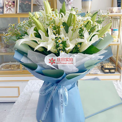 邢台8支白色多头百合洋甘菊，互倾的思念