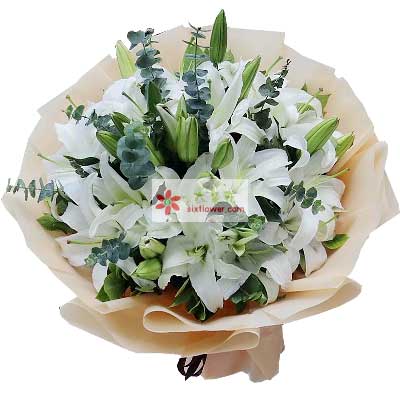 邢台9支白色多头百合，祝福你幸福